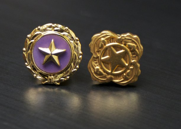scholarships for gold star families