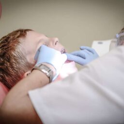 Dental Hygenist Degrees for Military and Veterans